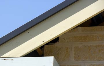 Nedging Tye fascia repairs