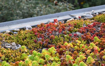 the cost of Nedging Tye green roof installation