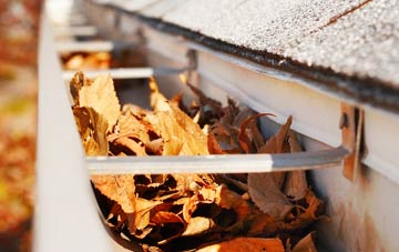 Nedging Tye gutter cleaning companies