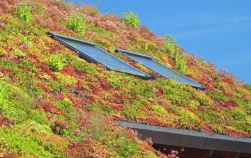 Nedging Tye living roof systems