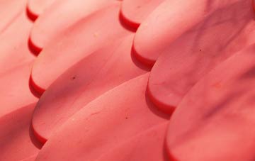 Nedging Tye plastic roof costs