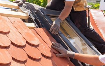 replacement Nedging Tye roof windows