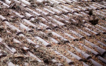 Nedging Tye roof cleaning companies