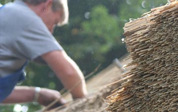 professional Nedging Tye thatchers