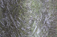 Nedging Tye fibreglass roof work