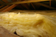 Nedging Tye pitch roof insulation