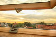 rated Nedging Tye roof window companies